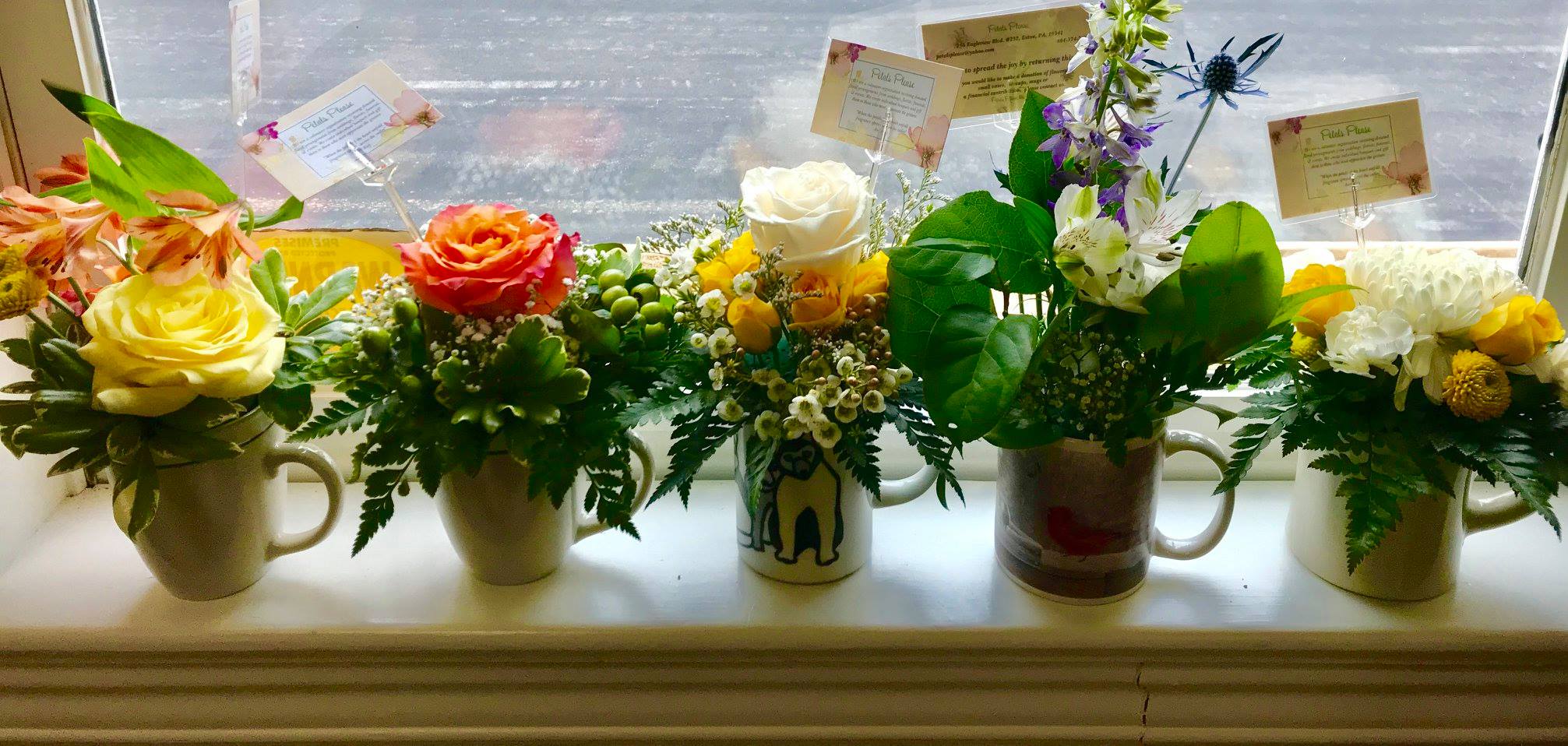 Donate Vases Petals Please