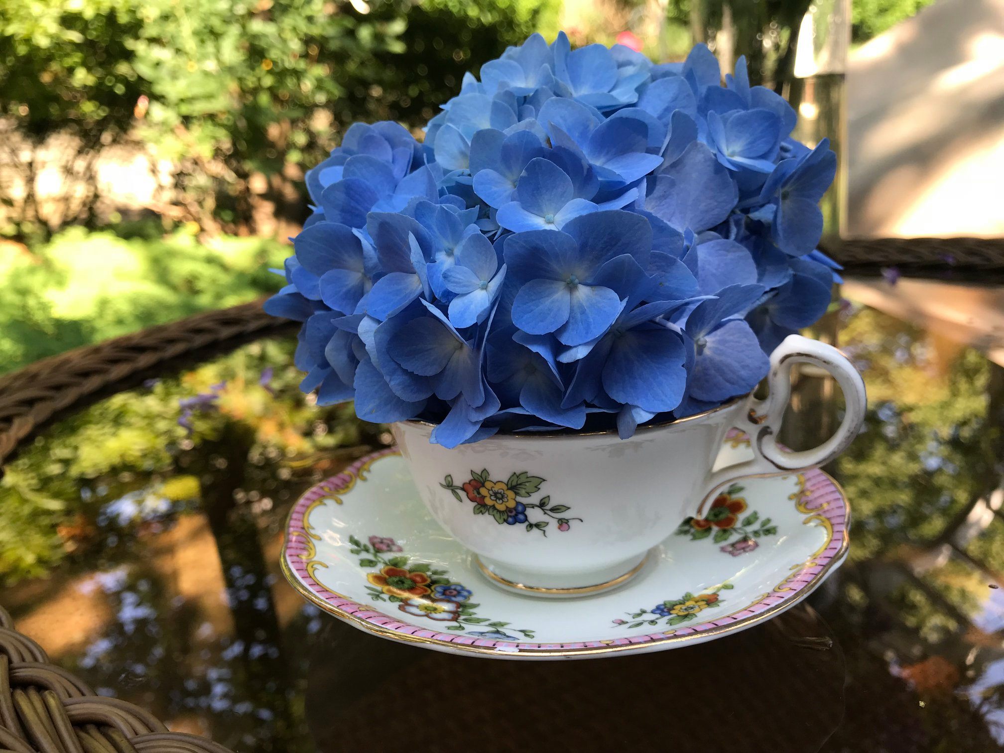 Donate Vases Petals Please